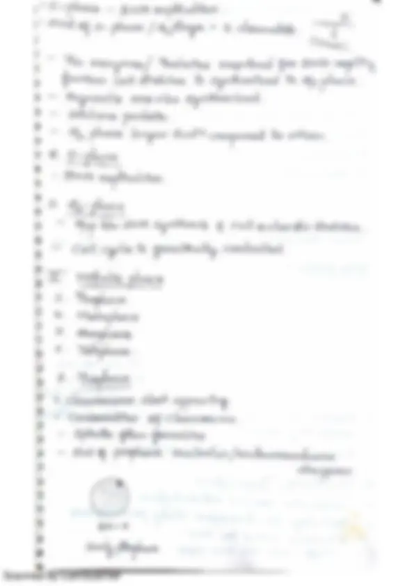pf24