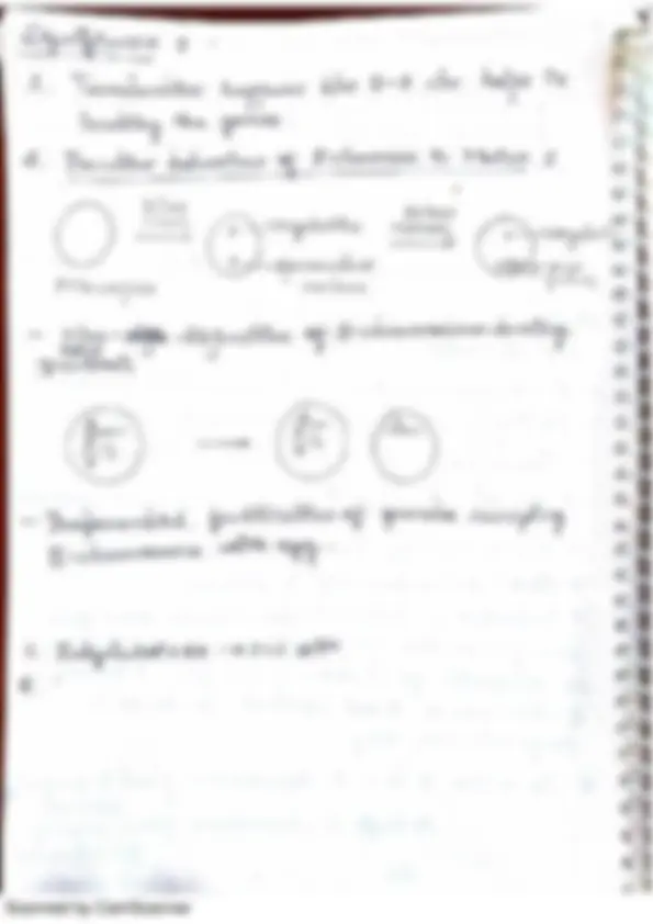 pf21