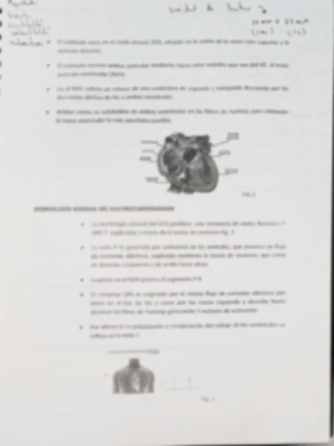 pf4