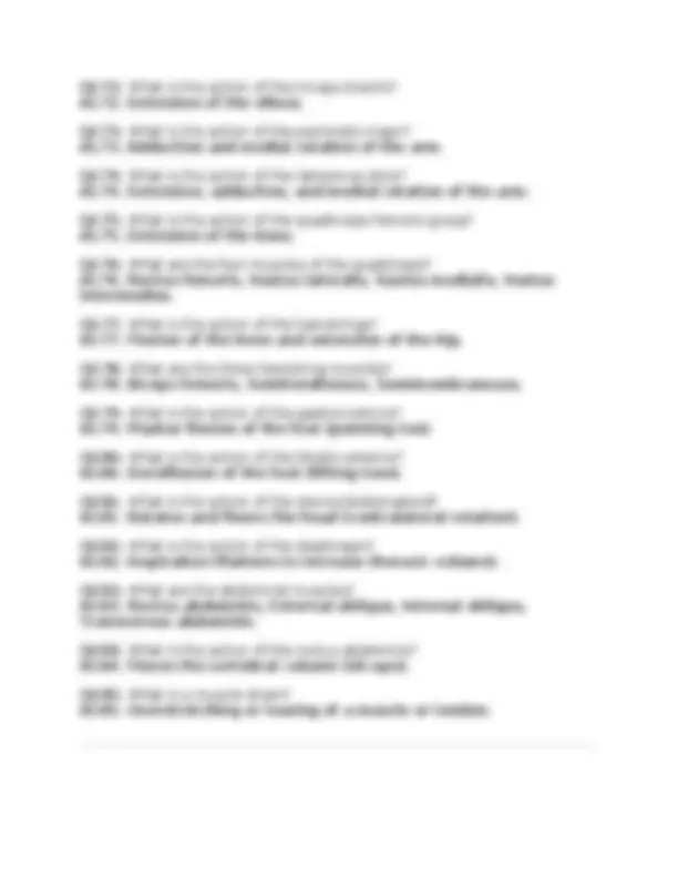 BIOL251 Human Anatomy & Physiology I w/Lab – Final Exam Review | 200 ...