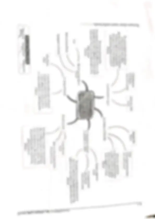 pf3