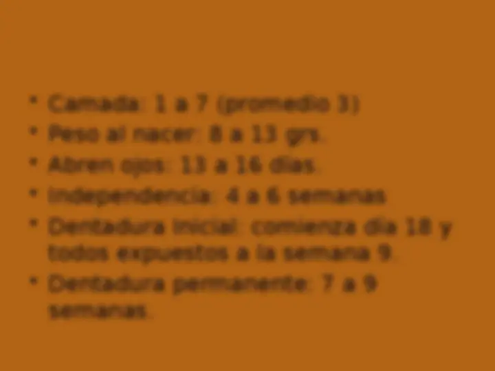 pf5