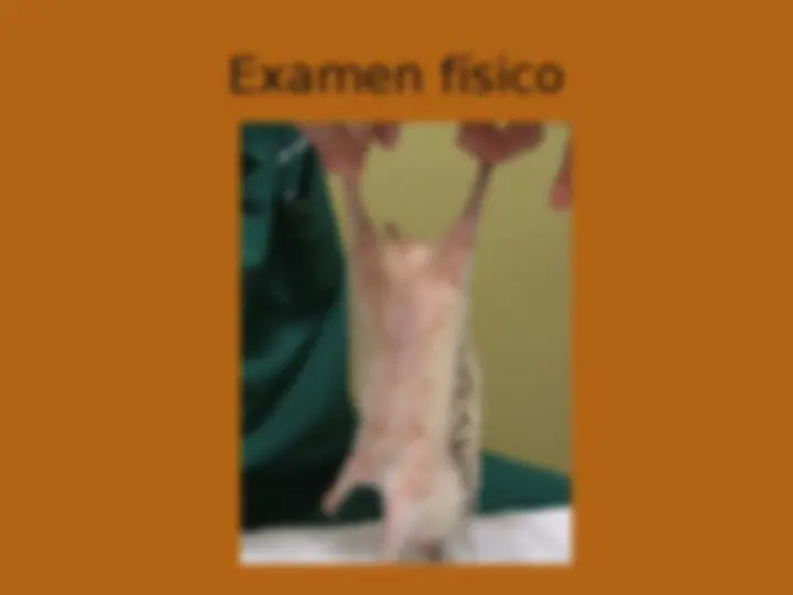 pf14