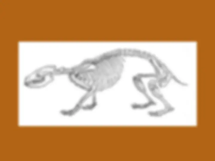 pfa