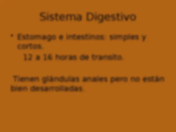 pfe