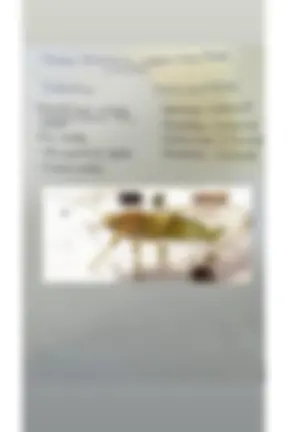 pf4