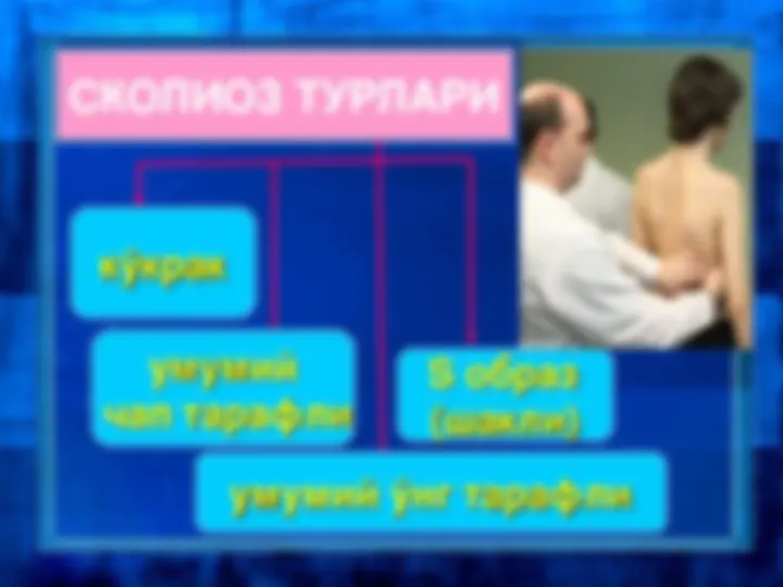 pf31