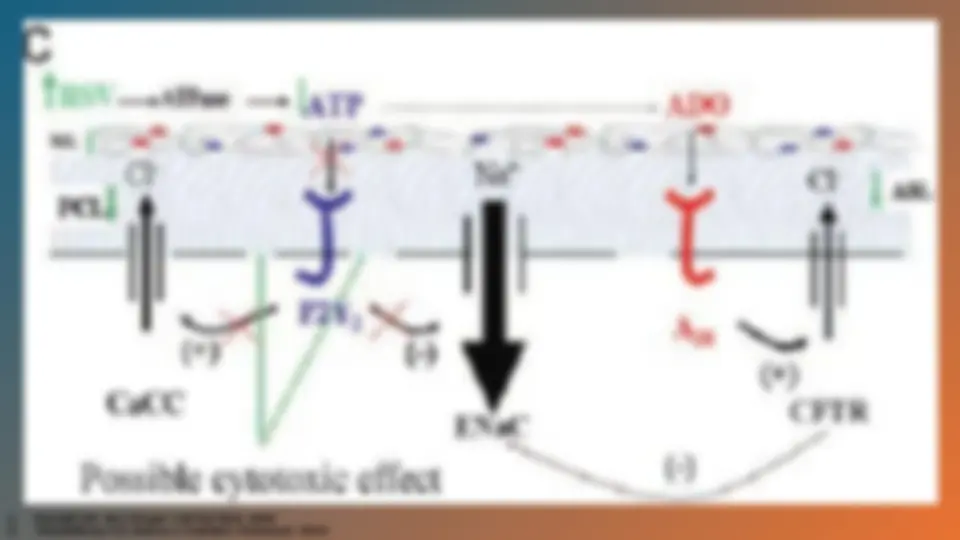 pf5