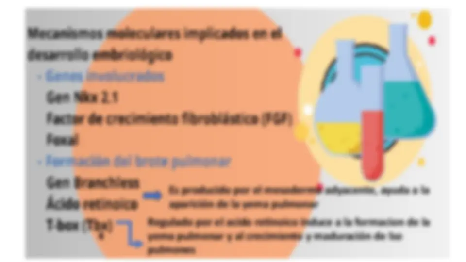 pf19