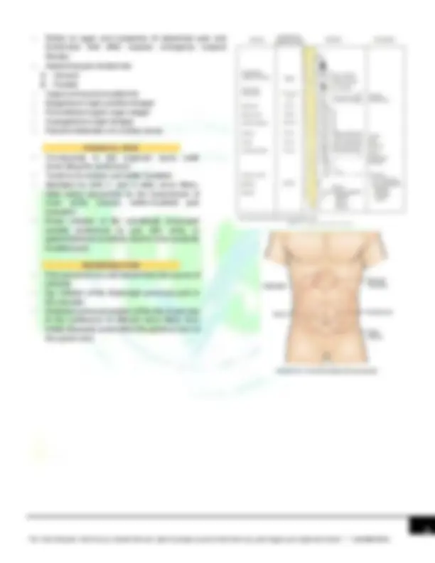 ACUTE ABDOMEN ANATOMY AND PHYSIOLOGY VISCERAL PAIN | Exams Health ...