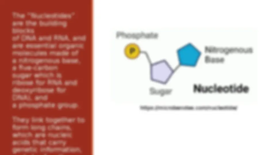 pf3