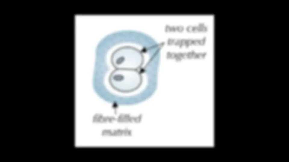 pf13