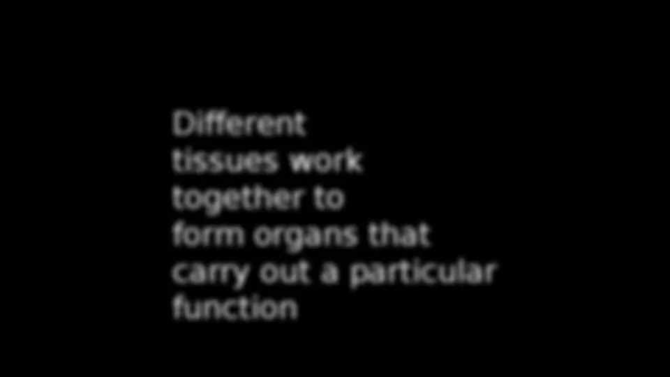 pf5