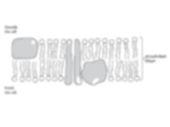 pf18