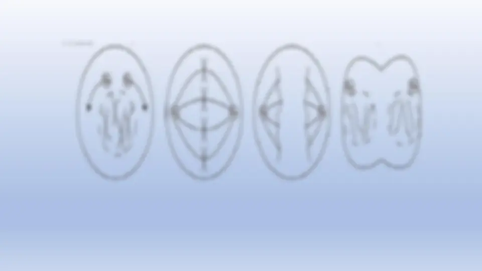 pf1b