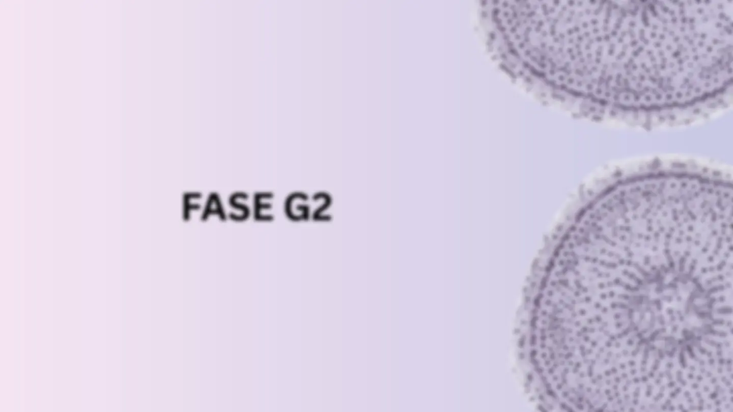 pf33