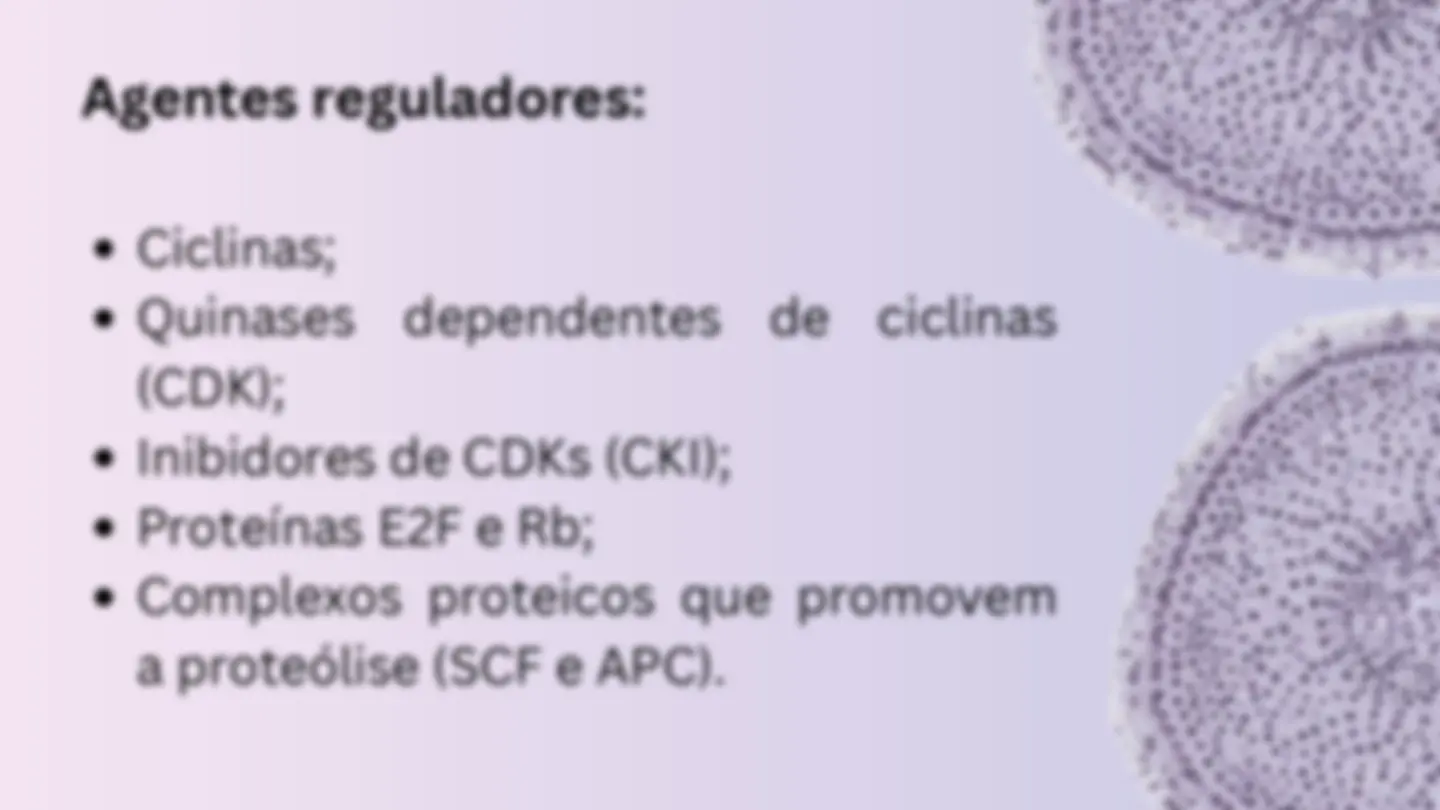 pf24