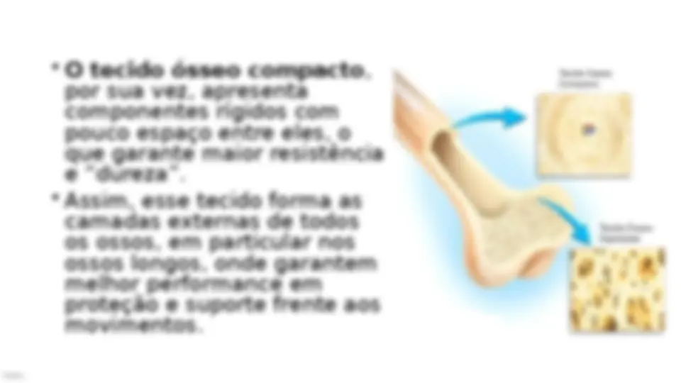 pf21
