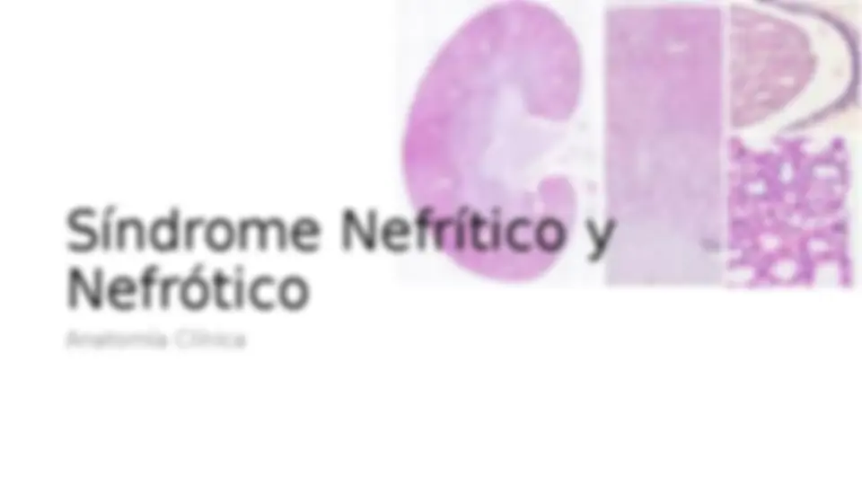 pf19
