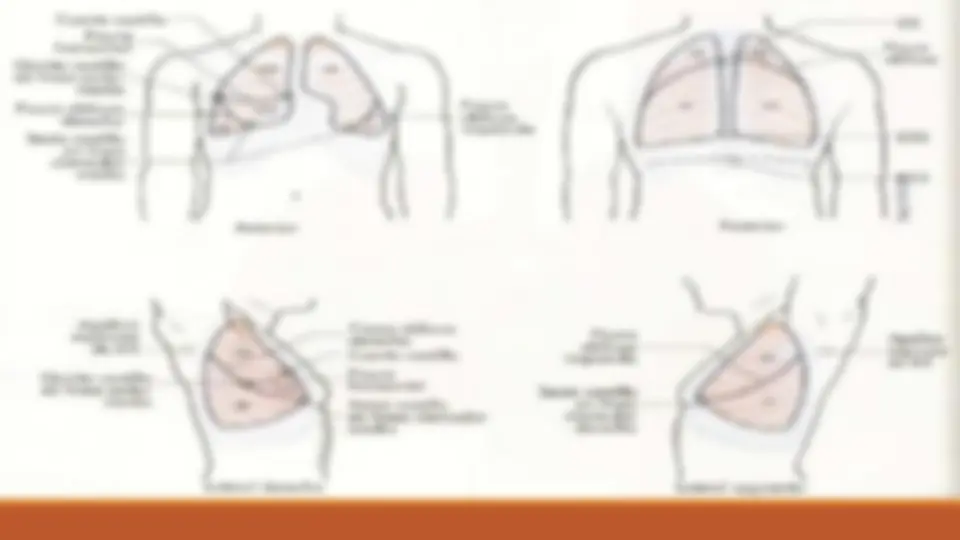 pfe