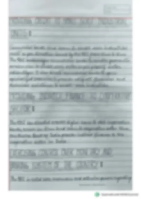 pf16