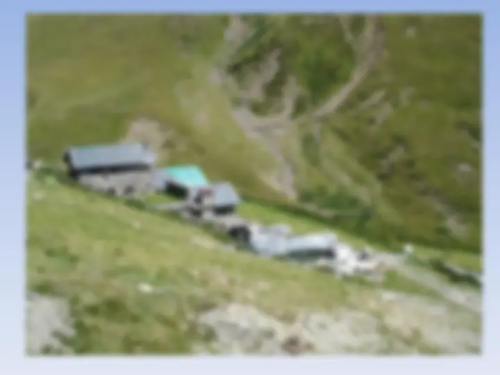 pf25