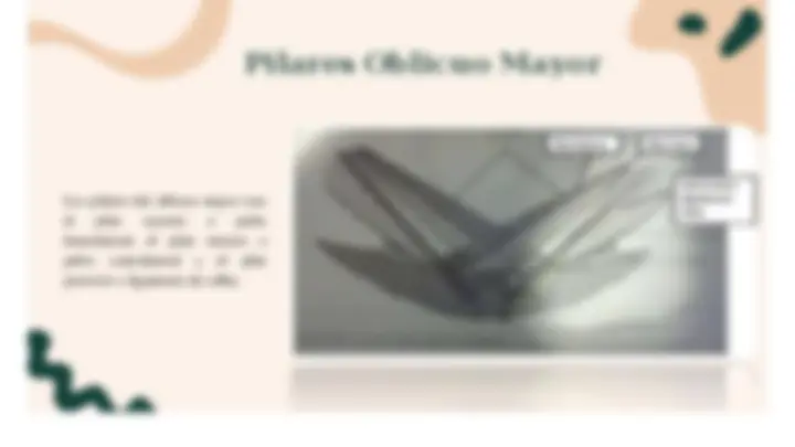 pf8