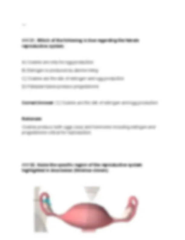 BIOD 152 Module 6 Exam (PDF) | (2026/2027) A&P II Questions | Anatomy ...