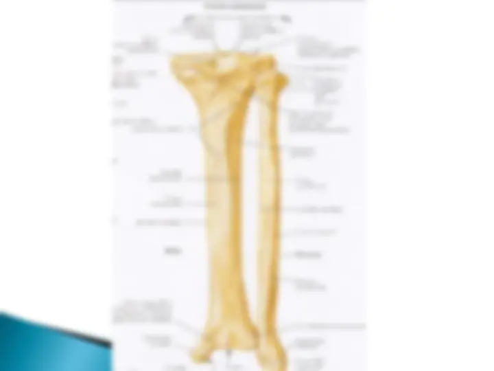 pf13
