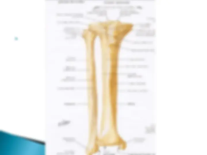 pf12
