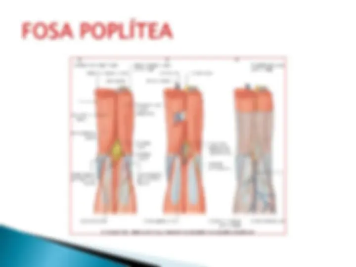 pf15