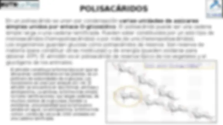pfe