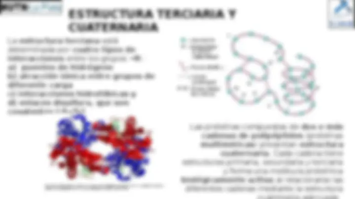 pf1b