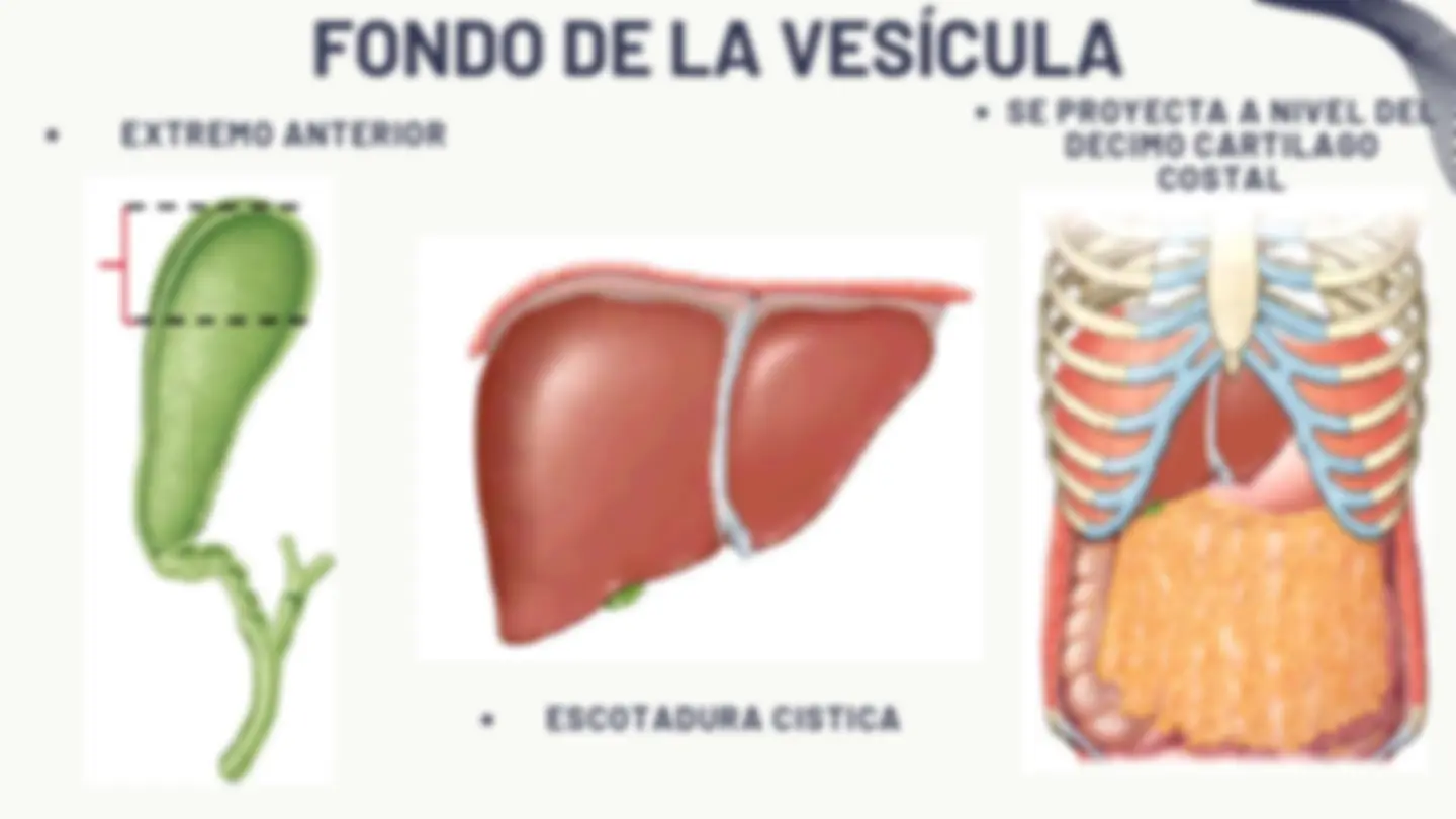 pf5