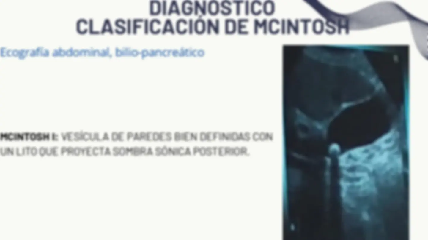 pf26