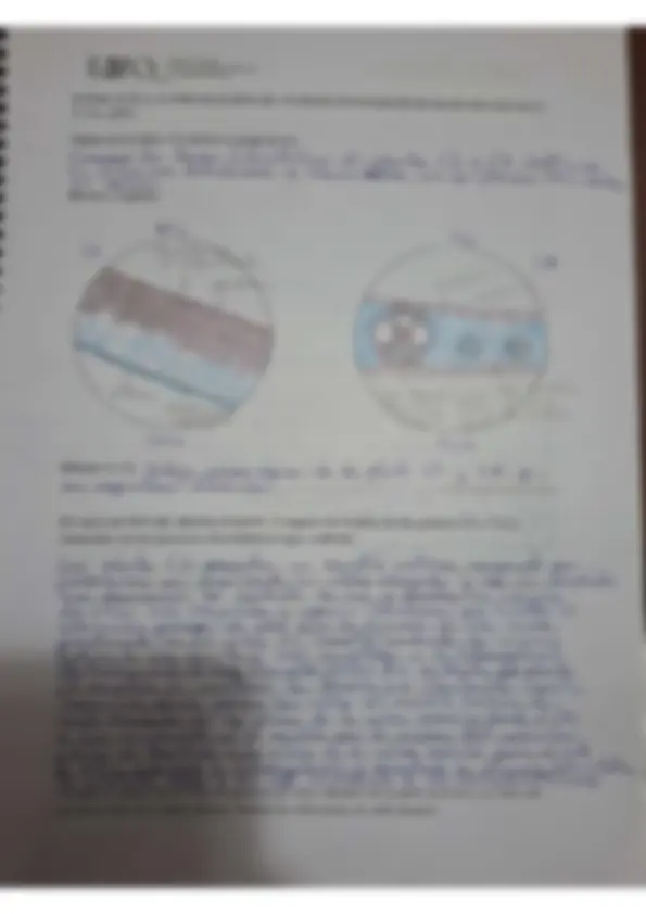 pf5