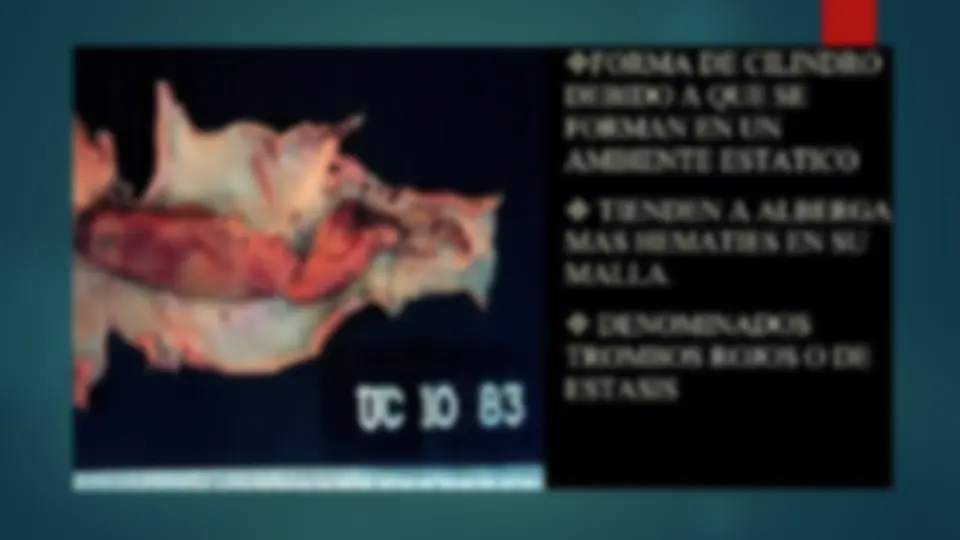 pf29