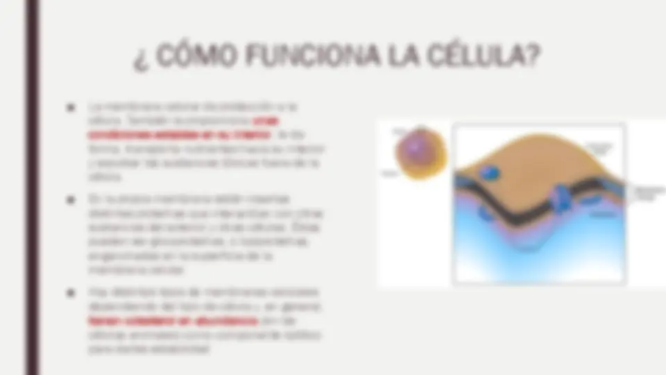 pf3
