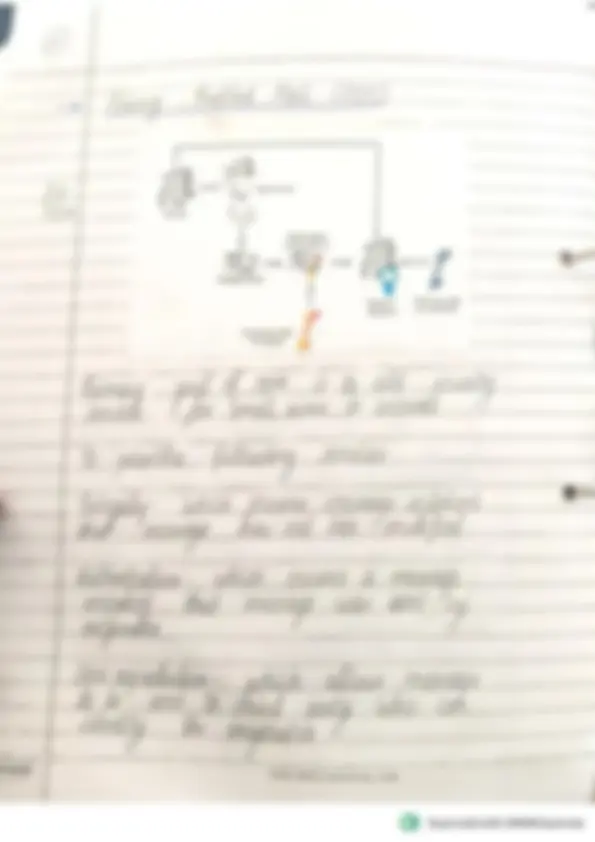pfe