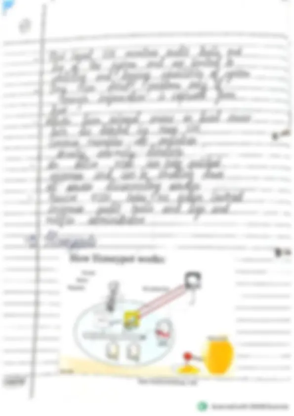 pf4