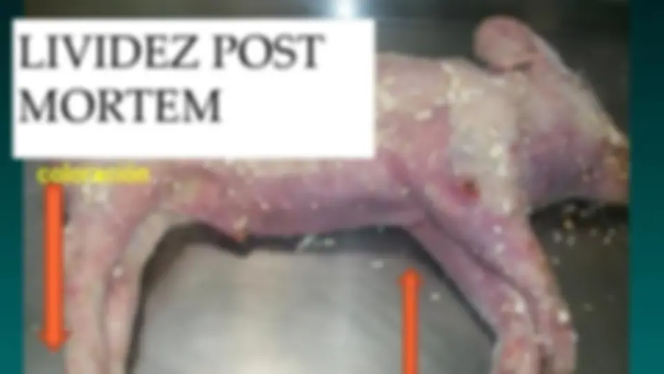 pfe