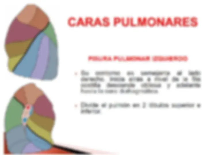 pf17