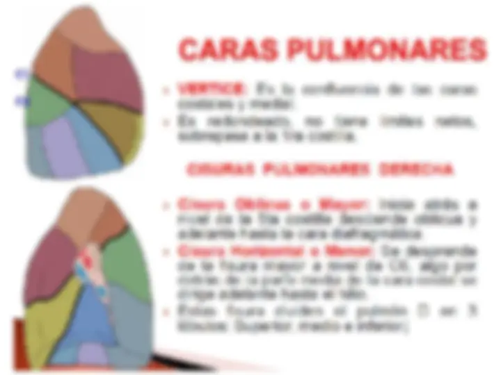 pf16