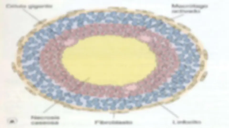 pf4