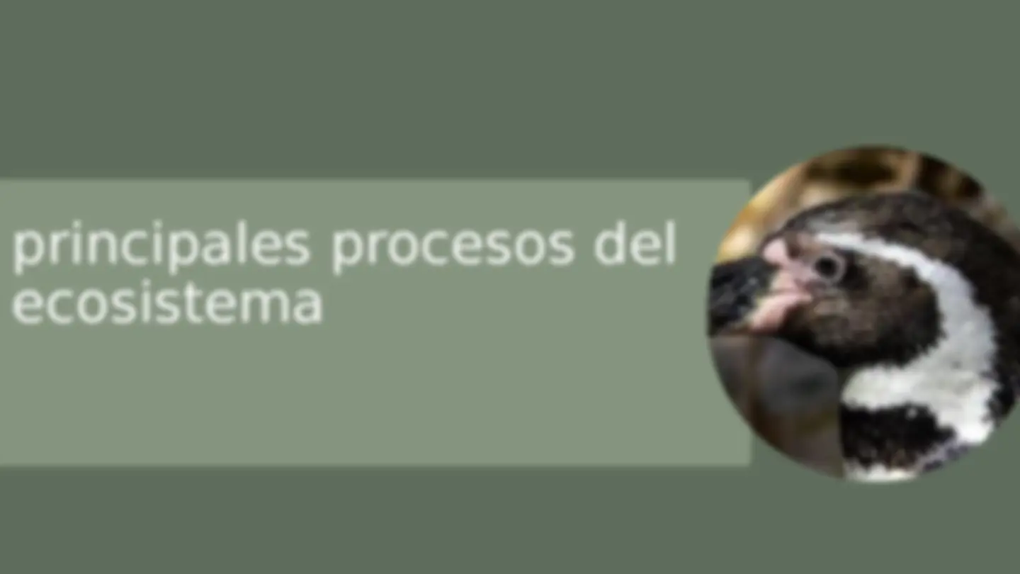 pff