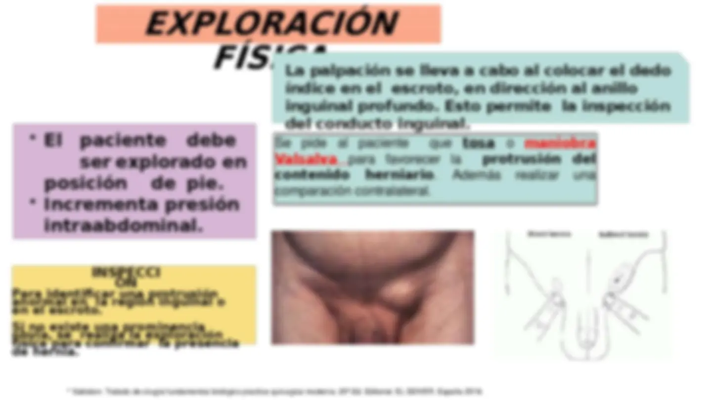 pf19