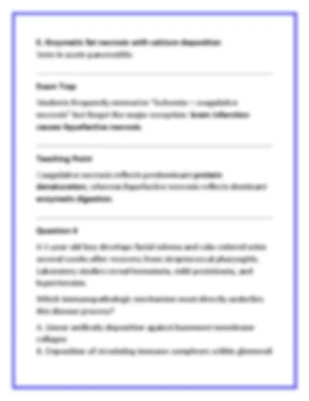 Robbins, Cotran & Kumar Pathologic Basis of Disease 11th Edition Test ...