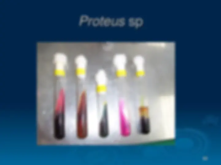 pf42