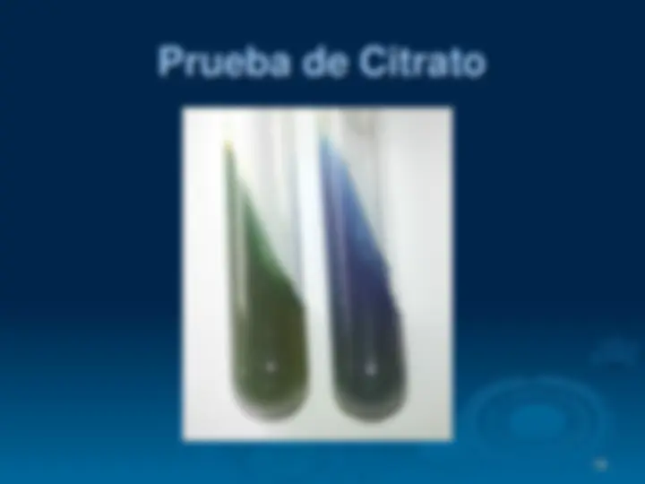 pf12