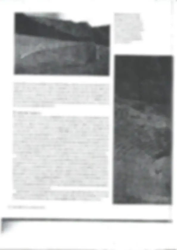 pf13